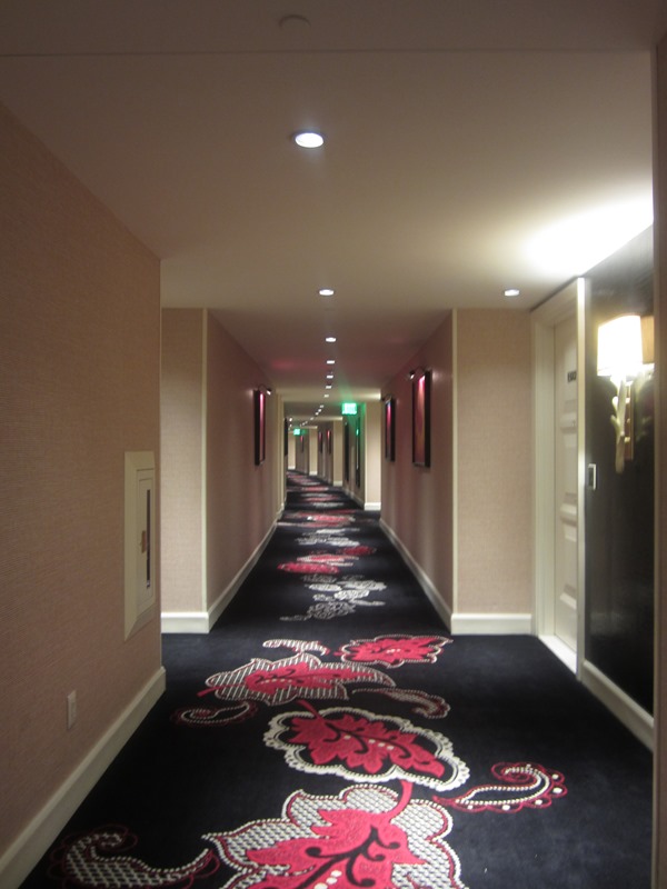 IMG_2249 IMG_2249