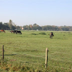 busreis Westmalle 2-10-'11