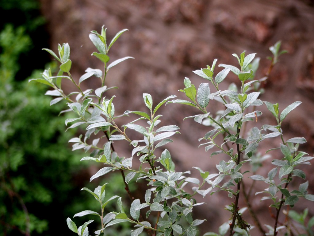 [24%2520June%25206%252021-06-2013%252011-26-31%255B3%255D.jpg]