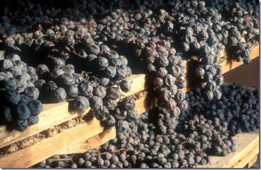 amarone-uvas-vinho-e-delicias amarone-uvas-vinho-e-delicias