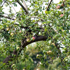 20100815_017_small.JPG