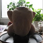 l002.jpg