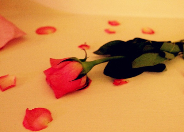 [IMG_4113_resize_5.jpg]