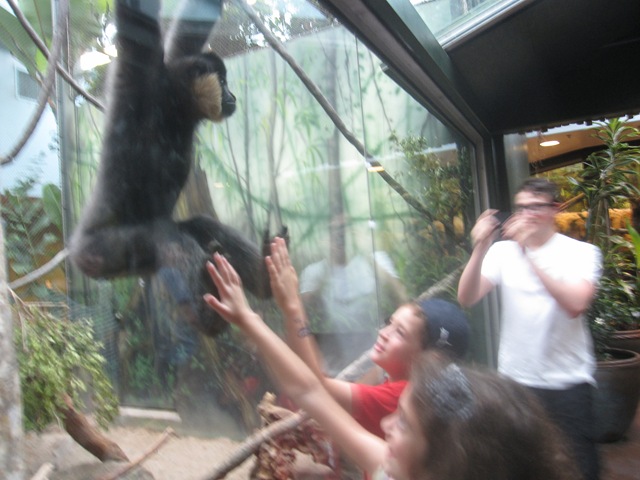 [IMG_8377%255B2%255D.jpg]