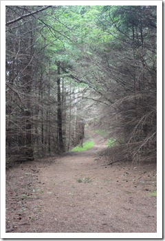 IMG_1705 IMG_1705