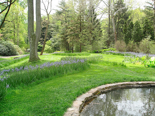 Here's the massing of the camassias. I think one of the first times I really saw this plant used to great effect was at Martha's garden at Turkey Hill. It makes a great cut flower as well as a great garden plant.