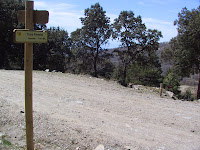 IMG_5232.JPG Photo