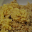 Quinoa Cooked.JPG