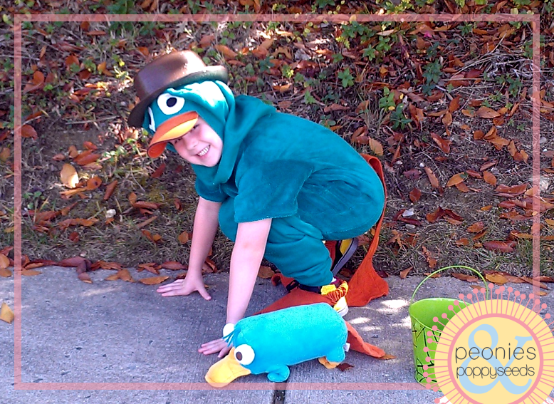 [DIY%2520Perry%2520the%2520Platypus%2520Halloween%2520costume%255B3%255D.png]