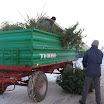Tannenbaumaktiont09_10.jpg