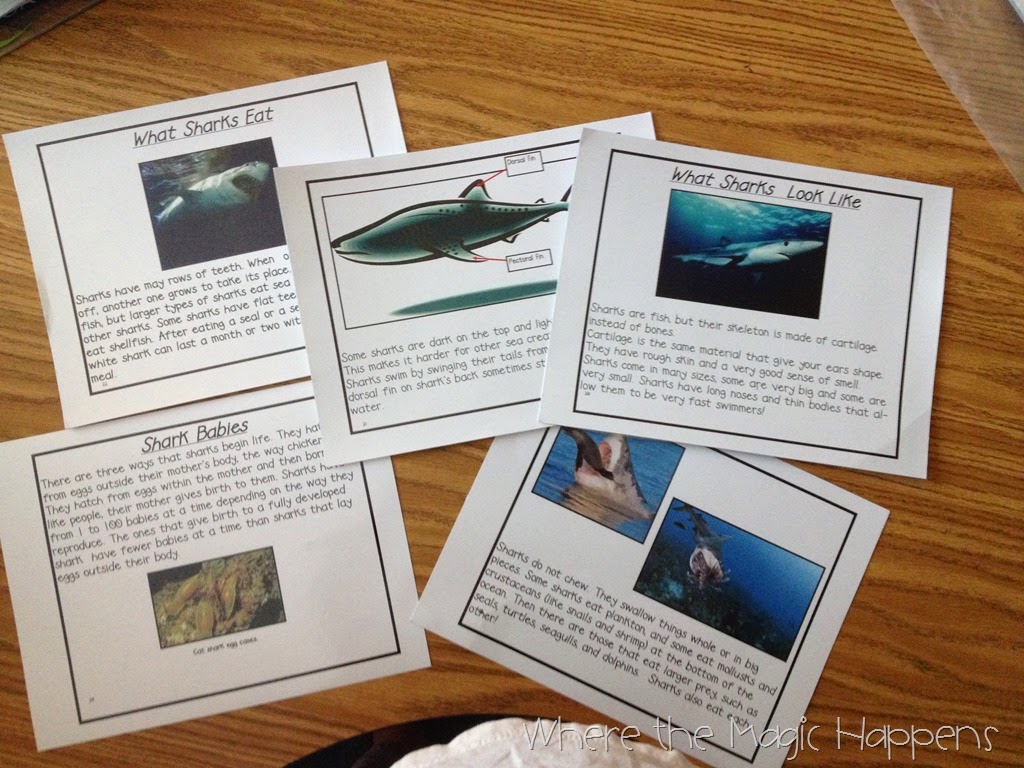 [IMG_6964%255B1%255D%255B8%255D.jpg]