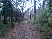 DSC_0074.JPG Photo