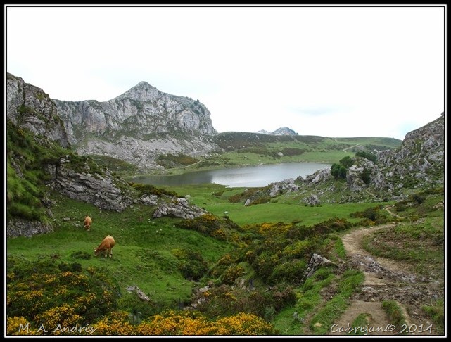 Picos 586 Picos 586