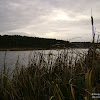 dsc07137.jpg