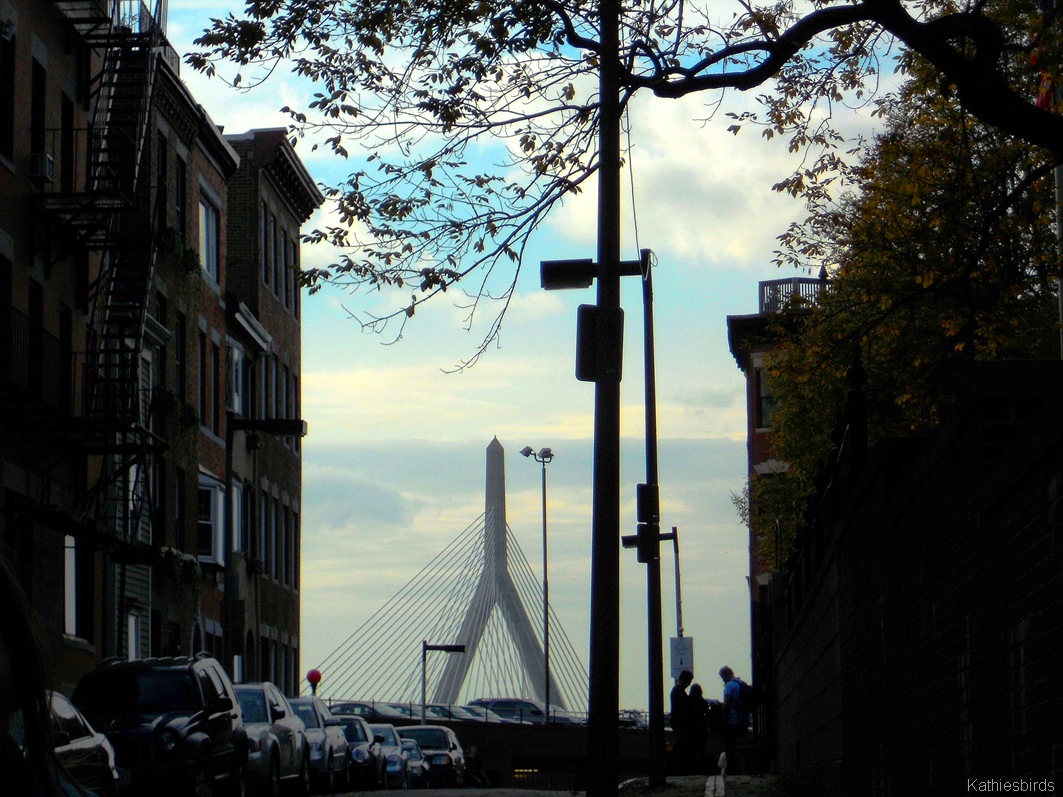 [10.%2520Zakim%2520Bridge-kab%255B4%255D.jpg]