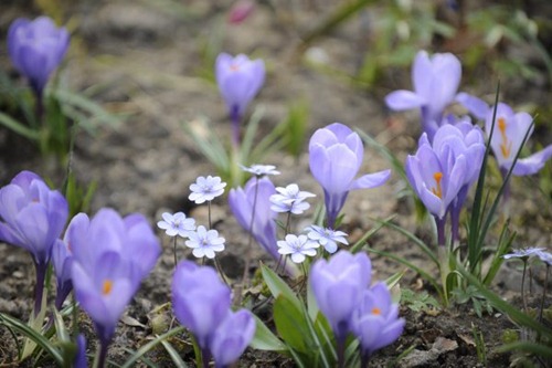 claus_20100415_140222