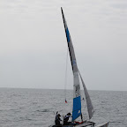 IMG_2990.jpg