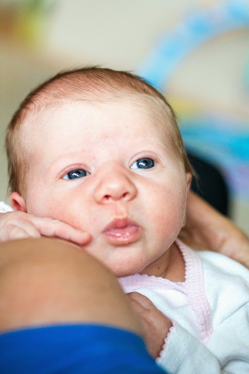 [IMG_8909-2%255B3%255D.jpg]