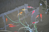 DSC_3194.JPG