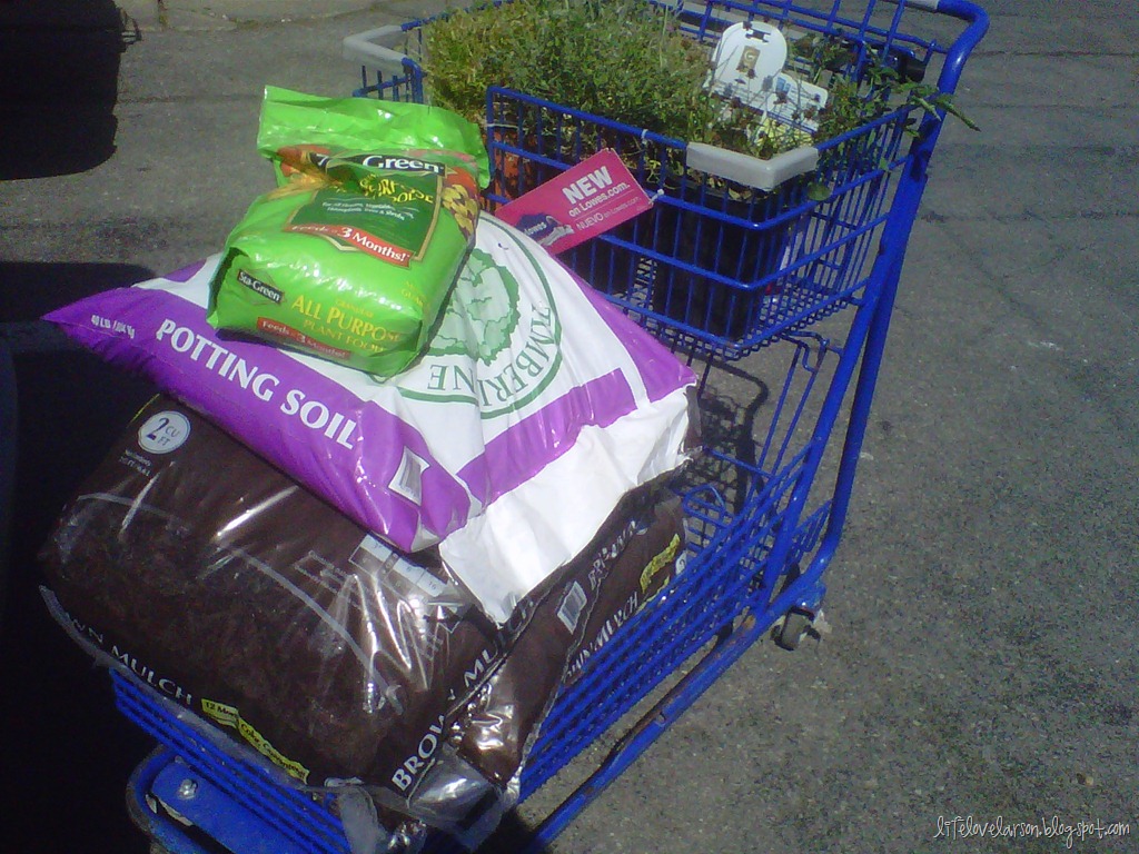 [IMG00078-20120517-1042%255B8%255D.jpg]