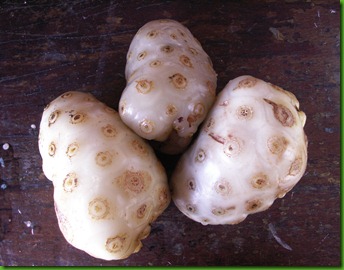 Noni from Brazil (1) Noni from Brazil (1)