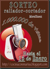 CARTEL CONCURSO VISSITAS