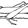 SALTAMONTES