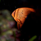 _DSC4489.jpg
