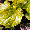 20070512010-Edit.jpg