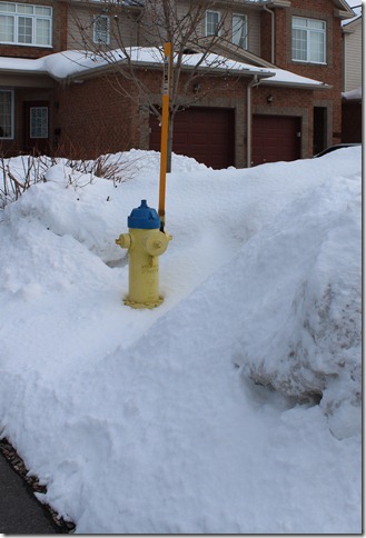 hydrant hydrant