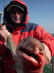 Image217.jpg