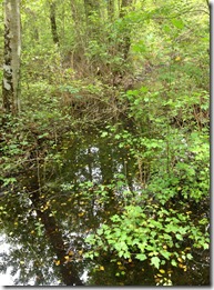 IMG_5235 IMG_5235