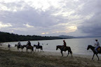 Caballo