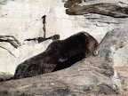 denver_zoo