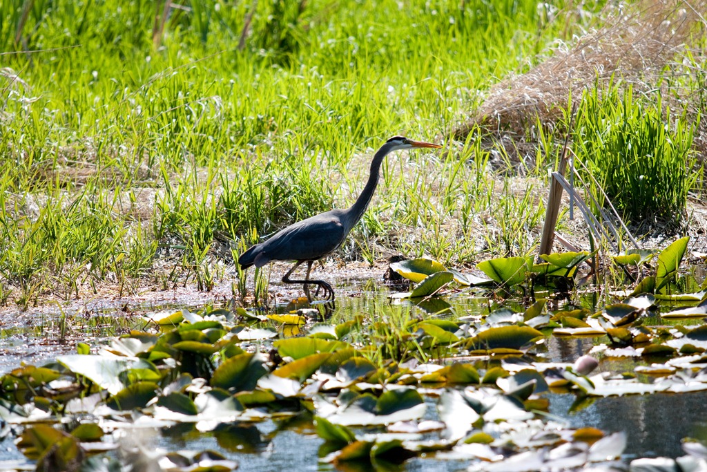 [20120506-IMG_31814.jpg]