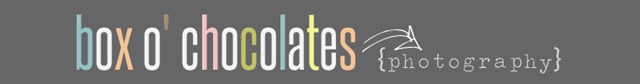 Etsy banner 3 copy