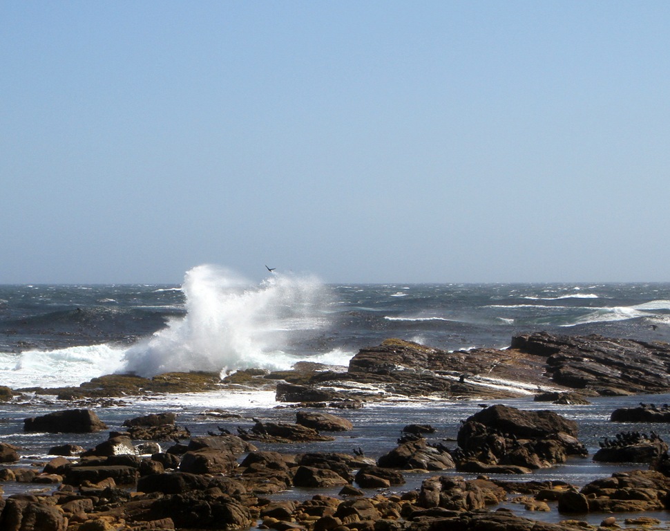 [IMG_2296%255B5%255D.jpg]