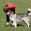 IMG_9239.JPG