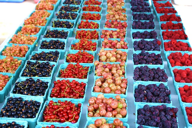 [currants%252C%2520raspberries%252C%2520gooseberries%252C%2520ray%2520tousey%252C%2520rhinebeck%2520farmers%2520market%255B4%255D.jpg]