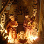 1559-3.jpg 1559-3.jpg