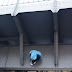 DSC02758.jpg