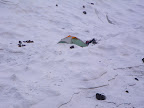 Our tent again, closer view.