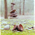 DSCN3659.JPG