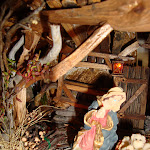 1513-17.JPG