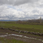 IMG_4215.jpg