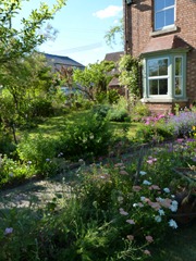 garden june 2011 006 garden june 2011 006