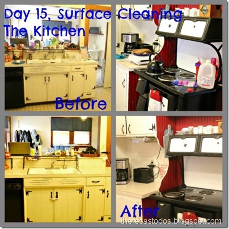 Day 15, Surface Clean Kitchen