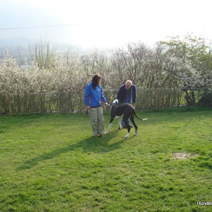 Unterordnung April 2010