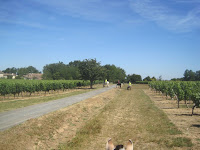 IMG_8444.JPG Photo