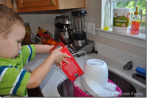 Big Red, homemade ice cream, big red ice cream, kids in the kitchen, ice cream